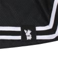 画像6: 【ラストLのみ】IRIE by irielife(アイリー バイ アイリーライフ) “B.B MESH SHORTS” (6)
