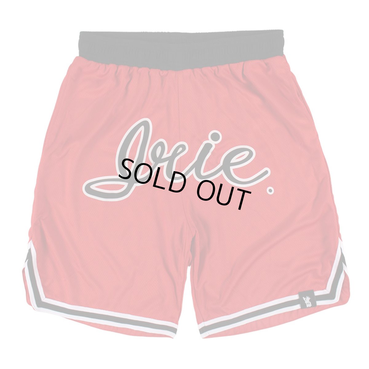 画像2: 【半額】IRIE by irielife(アイリー バイ アイリーライフ) “B.B MESH SHORTS” (2)