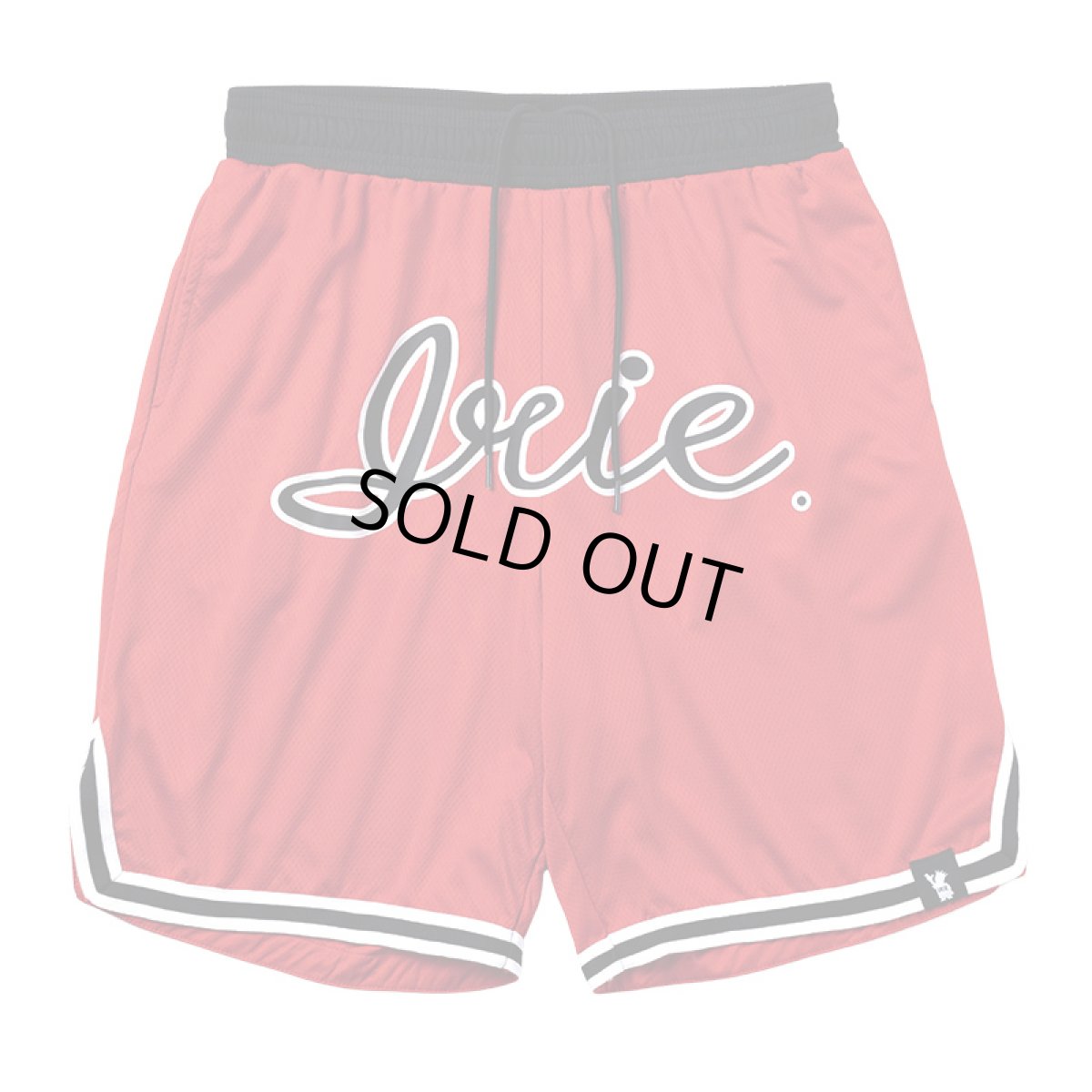 画像1: IRIE by irielife(アイリー バイ アイリーライフ) “B.B MESH SHORTS” (1)