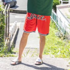 画像12: IRIE by irielife(アイリー バイ アイリーライフ) “B.B MESH SHORTS” (12)