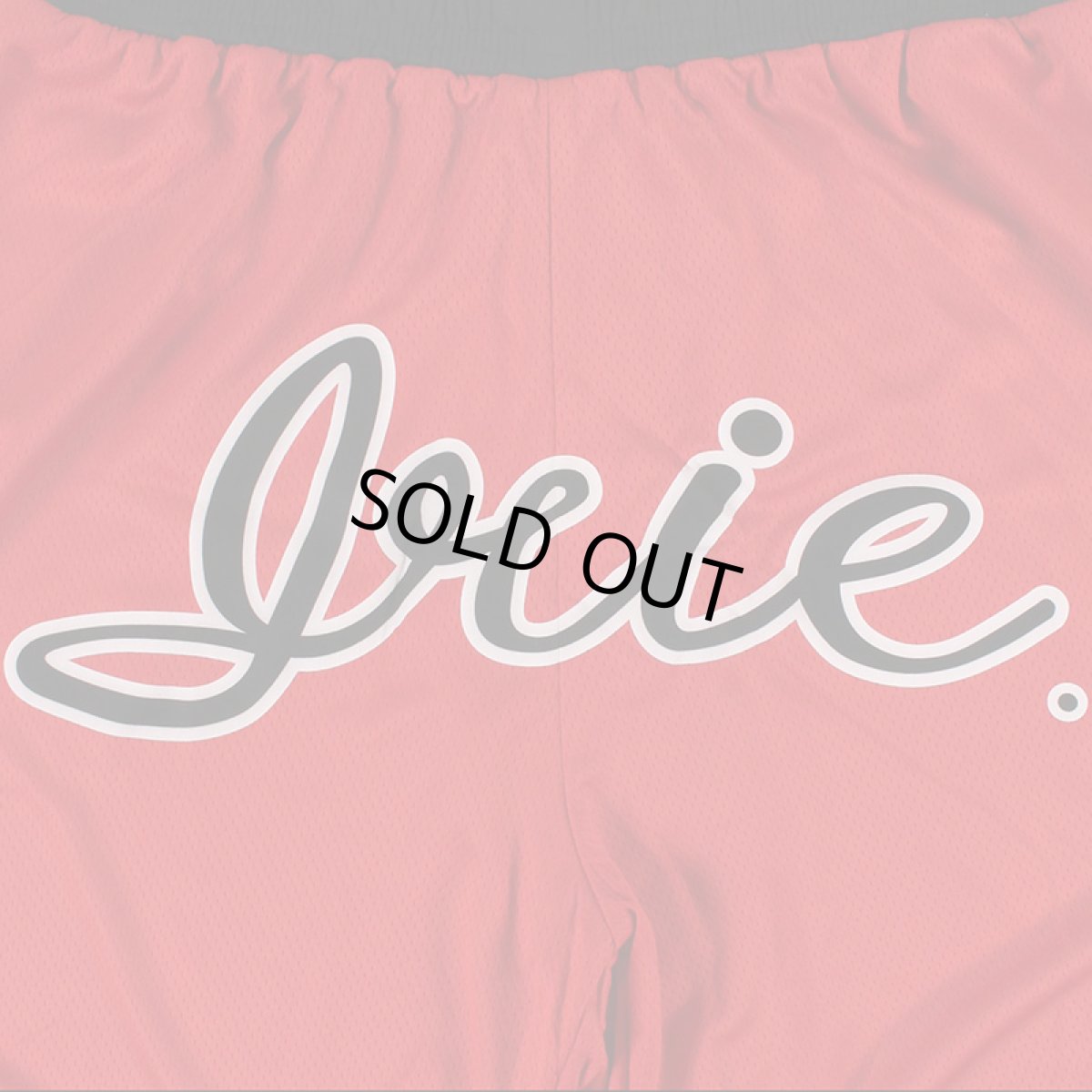 画像4: 【半額】IRIE by irielife(アイリー バイ アイリーライフ) “B.B MESH SHORTS” (4)