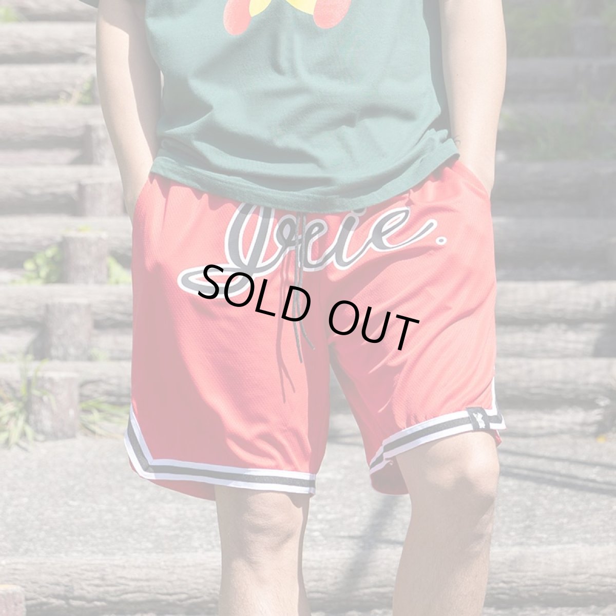 画像10: 【半額】IRIE by irielife(アイリー バイ アイリーライフ) “B.B MESH SHORTS” (10)