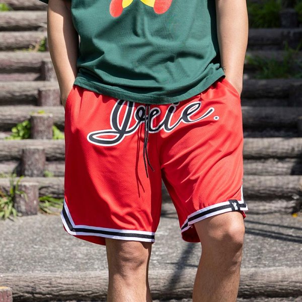 画像10: IRIE by irielife(アイリー バイ アイリーライフ) “B.B MESH SHORTS” (10)