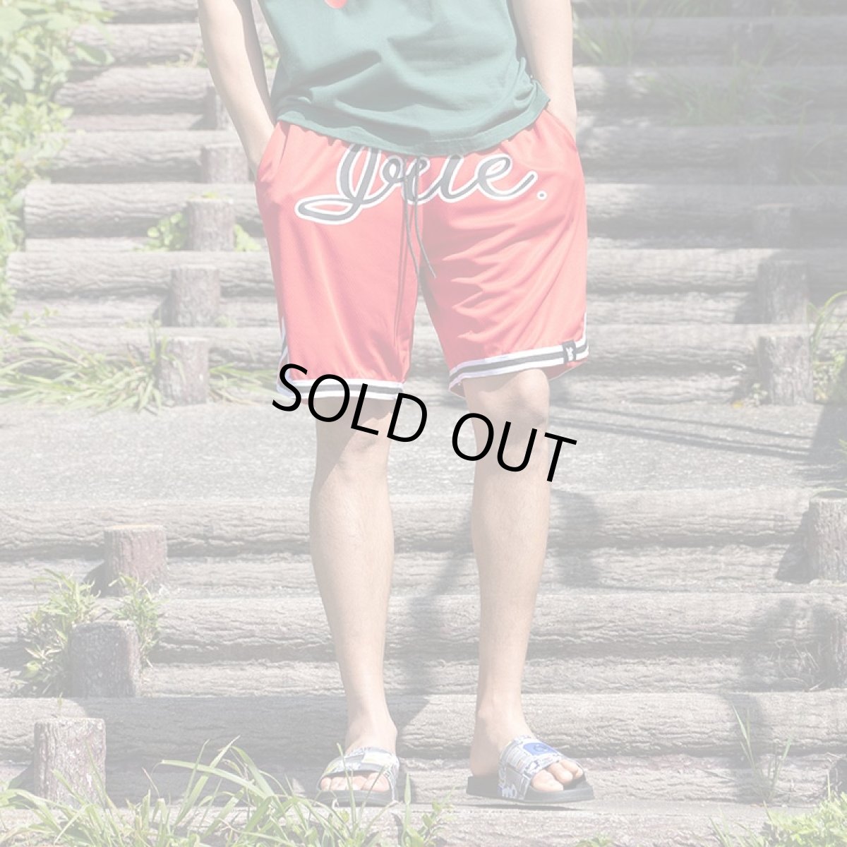 画像14: 【半額】IRIE by irielife(アイリー バイ アイリーライフ) “B.B MESH SHORTS” (14)