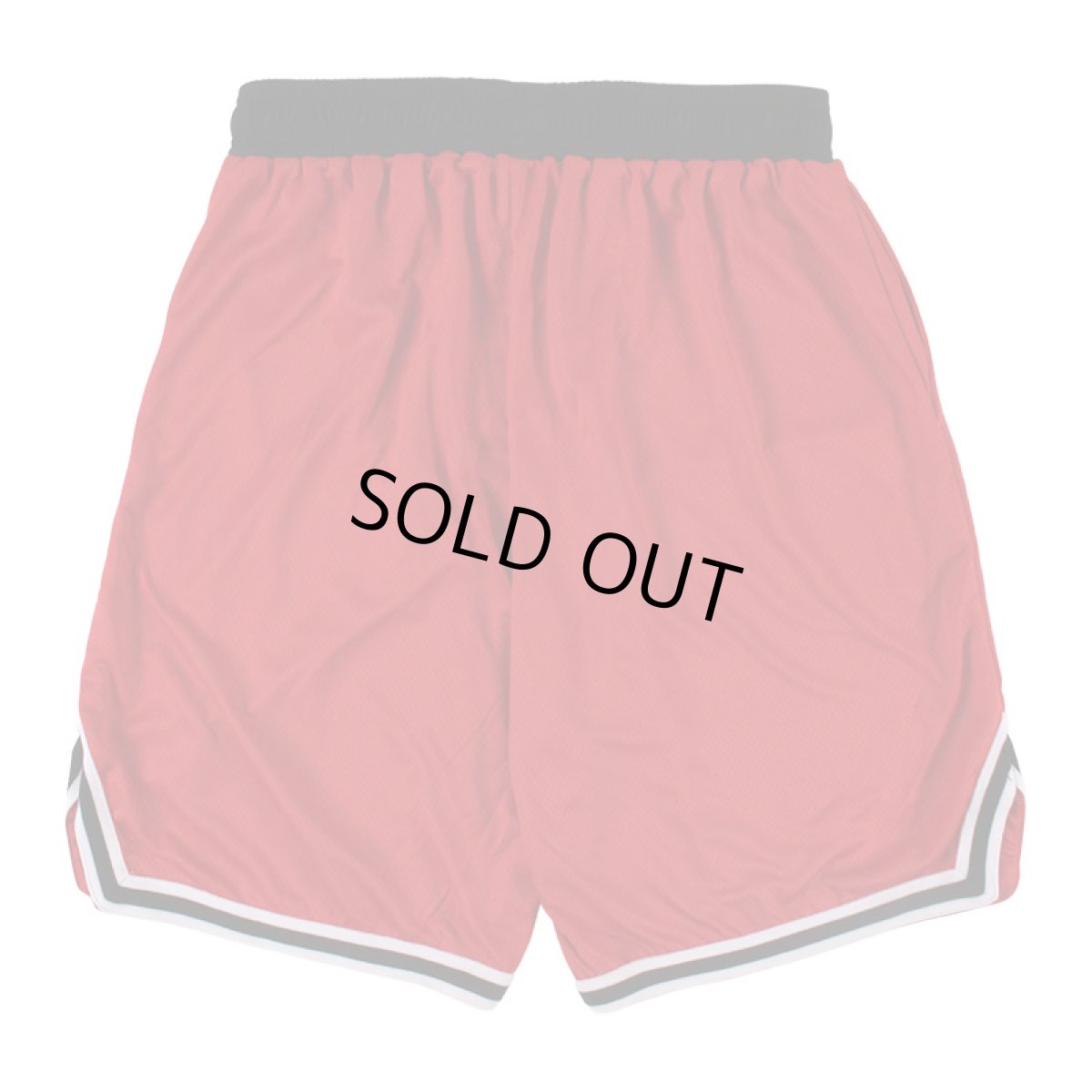 画像3: 【半額】IRIE by irielife(アイリー バイ アイリーライフ) “B.B MESH SHORTS” (3)