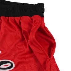 画像5: IRIE by irielife(アイリー バイ アイリーライフ) “B.B MESH SHORTS” (5)