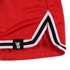 画像7: IRIE by irielife(アイリー バイ アイリーライフ) “B.B MESH SHORTS” (7)