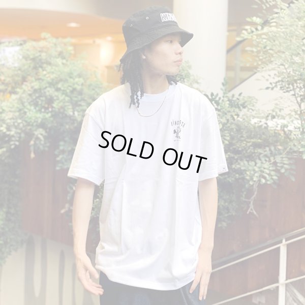 画像9: 【ラストMのみ】KINGSIZE(キングサイズ)“SKUNKING TEE” (9)