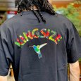 画像11: 【ラストMのみ】KINGSIZE（キングサイズ）“HUMMING BIRD TEE” (11)