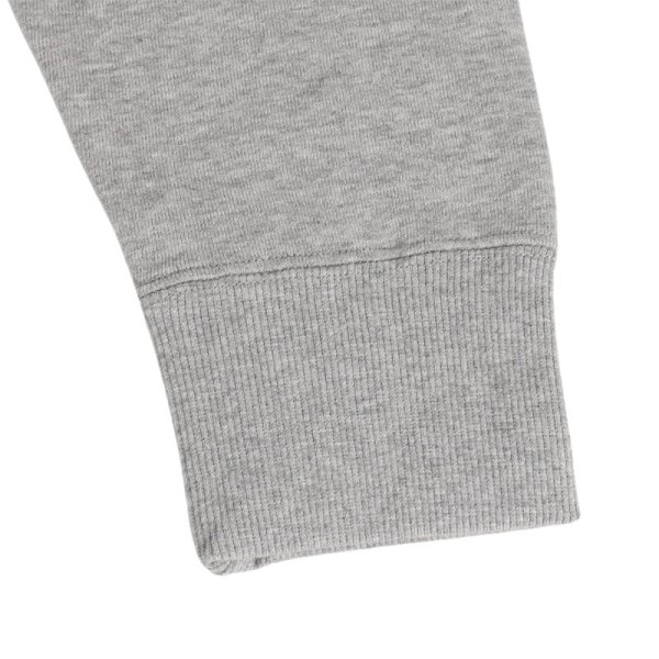 画像10: 【ラストXLのみ】THE NORTH FACE（ザノースフェイス）“REARVIEW FULL ZIP HOODIE（リアビューフルジップフーディ）ミックスグレー” (10)