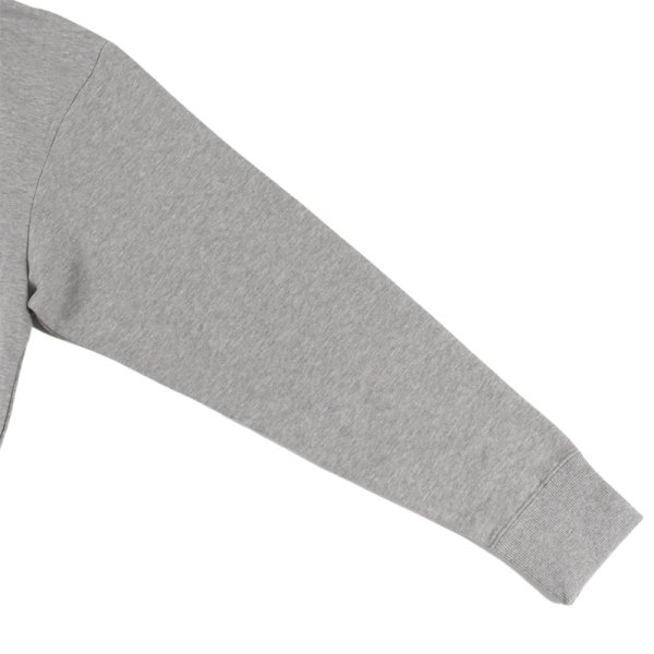 画像9: 【ラストXLのみ】THE NORTH FACE（ザノースフェイス）“REARVIEW FULL ZIP HOODIE（リアビューフルジップフーディ）ミックスグレー” (9)