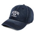 画像1: BUDS（バッズ） “EST PIGMENT CAP” (1)