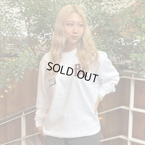 画像10: BUDS（バッズ） “WAPPEN CREW SWEAT” (10)