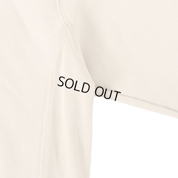 画像10: 【ラストXLのみ】KINGSIZE(キングサイズ)“RASTA LION HOODY” (10)