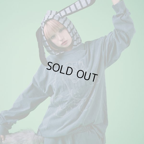 画像1: 【ラスト中型犬（L）のみ】GALFY(ガルフィー) “スケルトン☆ウイング ロンTee” (1)
