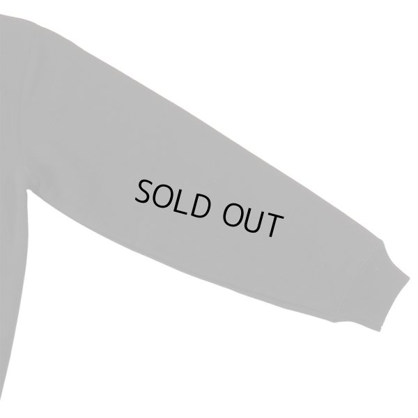 画像9: 【ラストLのみ】IRIE by irielife(アイリー バイ アイリーライフ) “NEON SOUND SYSTEM HOODIE” (9)