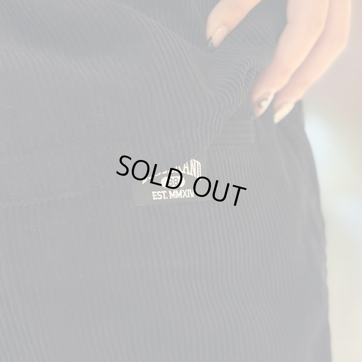 画像14: BUDS（バッズ） “CLASSIC CORDUROY PANTS” (14)
