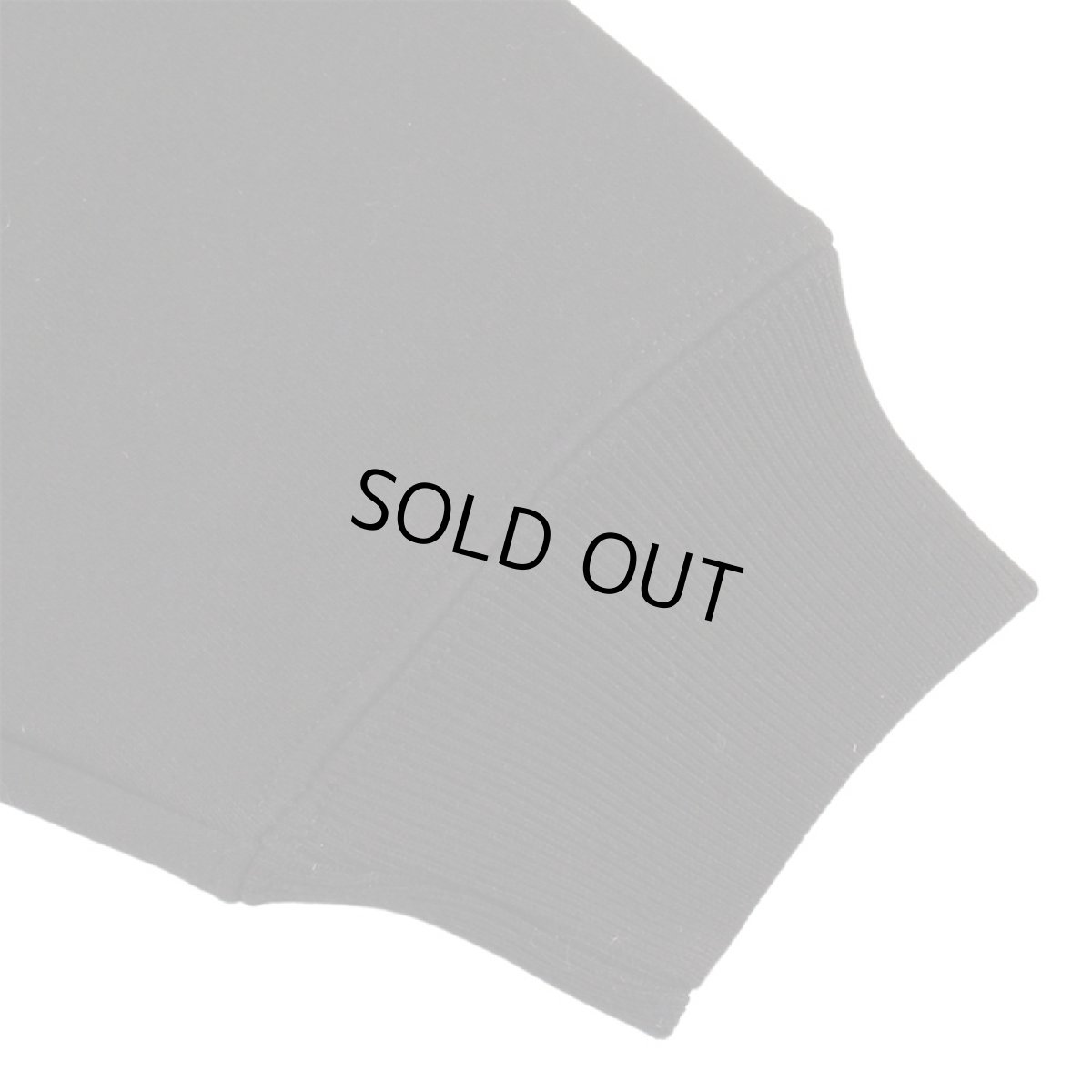 画像10: 【ラストLのみ】IRIE by irielife(アイリー バイ アイリーライフ) “HERB A IRIE DAY HOODIE” (10)