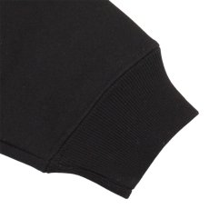 画像10: 【ラストLのみ】IRIE by irielife(アイリー バイ アイリーライフ) “HERB A IRIE DAY HOODIE” (10)