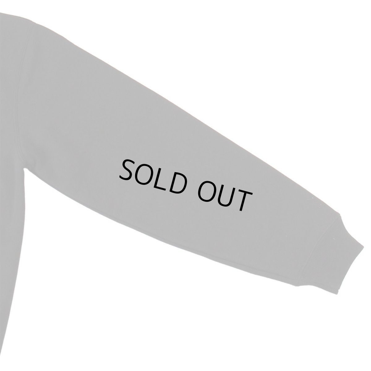 画像9: 【ラストLのみ】IRIE by irielife(アイリー バイ アイリーライフ) “HERB A IRIE DAY HOODIE” (9)