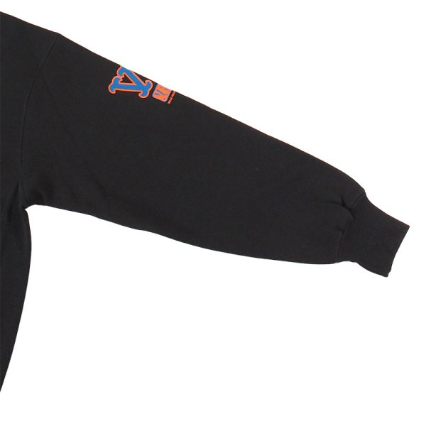 画像8: 【ラストLのみ】RTME -REGGAE TEACH ME EVERYTHING- “VP45TH HOODIE” (8)