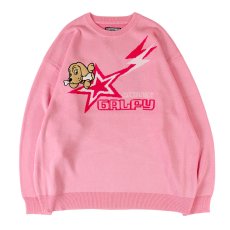 画像3: 【ラスト大型犬（XL）のみ】GALFY(ガルフィー) “星のガルフィー” (3)