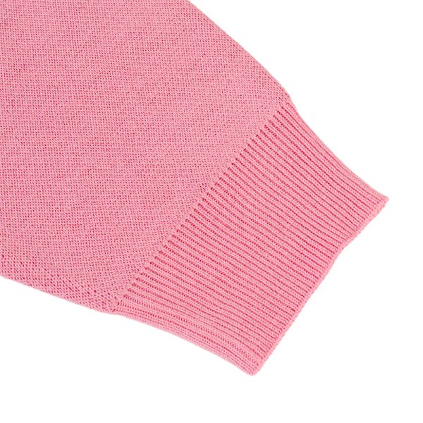 画像13: 【ラスト大型犬(XL)のみ】GALFY(ガルフィー) “星のガルフィー” (13)