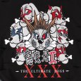 画像5: GALFY(ガルフィー) “小暮スウェット” (5)