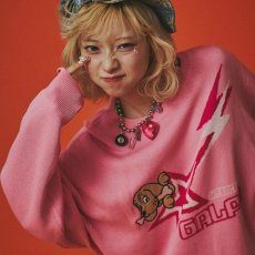 画像19: 【ラスト大型犬（XL）のみ】GALFY(ガルフィー) “星のガルフィー” (19)