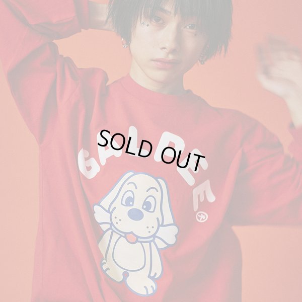 画像1: 【ラスト中型犬（L）のみ】GALFY(ガルフィー) “GALPEE ロンTee” (1)