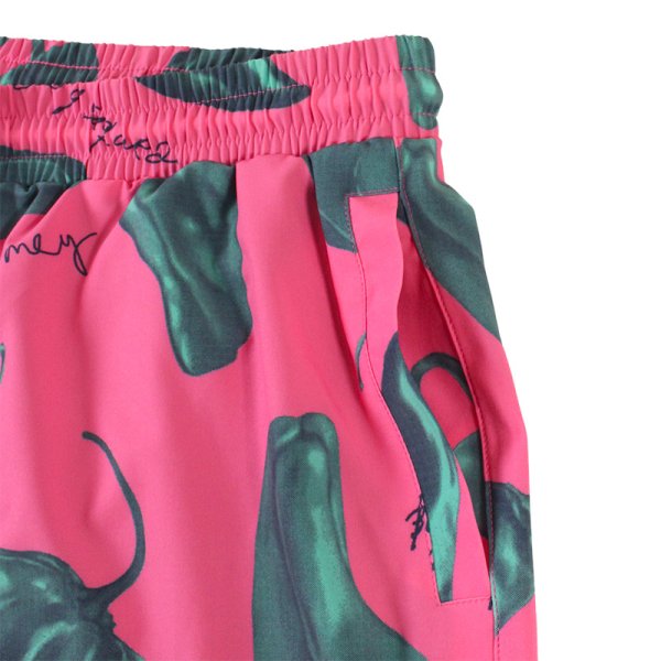 画像4: GRIMEY / GRMY (グライミー) “THE RED HOT SWIMMING SHORTS” (4)