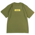 画像2: 【2025.04.04再入荷】KINGSIZE（キングサイズ）“MEDUSA TEE” (2)