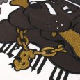 画像11: GALFY(ガルフィー) “ウェッサイ成金Tee” (11)