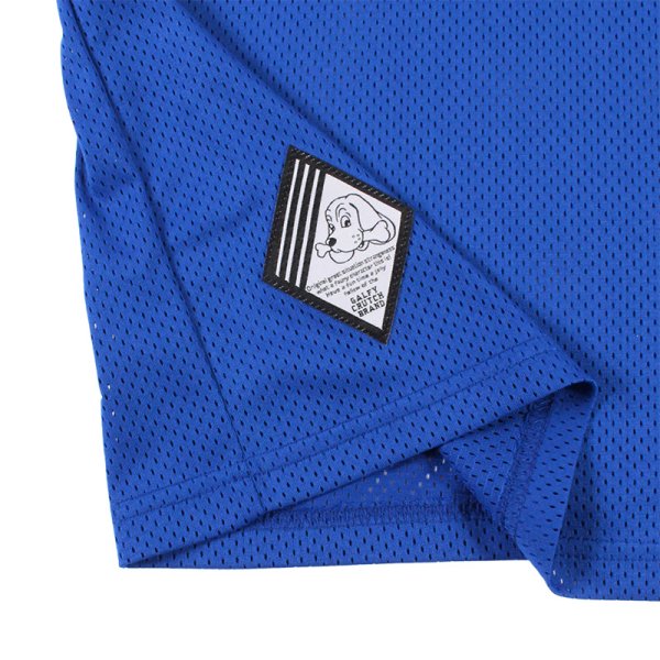 画像8: GALFY(ガルフィー) “ウェッサイ成金ユニフォーム” (8)