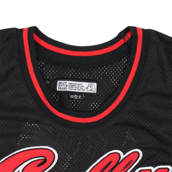 画像5: GALFY(ガルフィー) “ウェッサイ成金ユニフォーム” (5)
