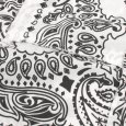 画像9: KINGSIZE（キングサイズ）“PAISLEY S/S SHIRTS” (9)