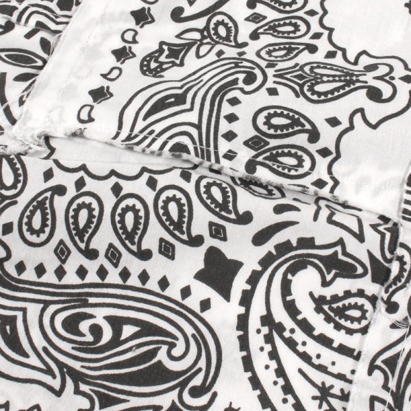 画像9: 【ラストMのみ】KINGSIZE（キングサイズ）“PAISLEY S/S SHIRTS” (9)