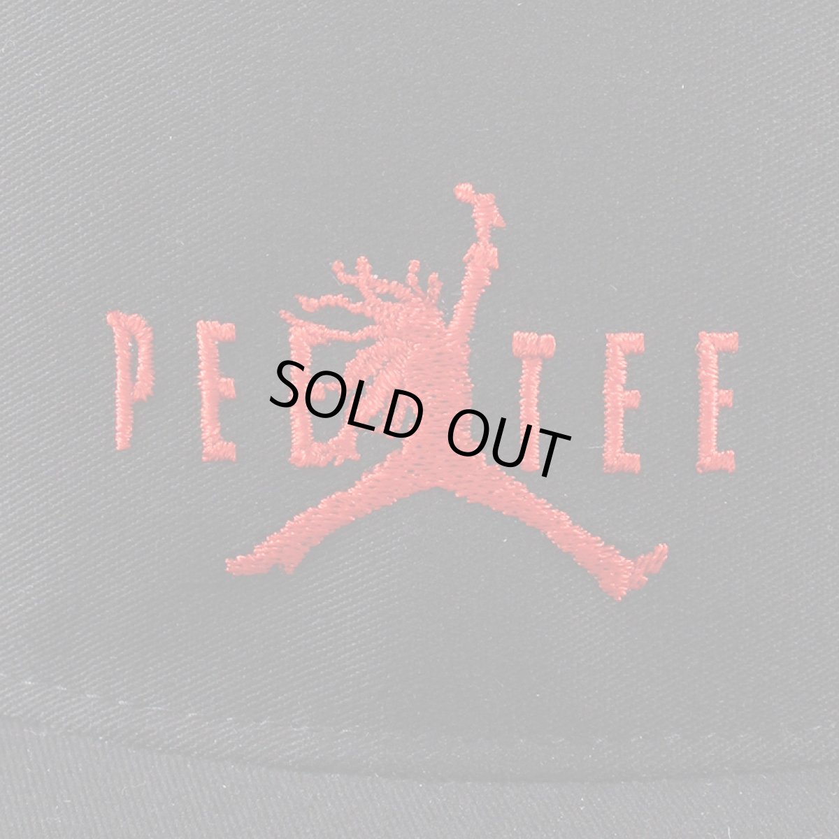 画像7: PeeTee. (ピーティー) “AIR MARLEY 5 PANEL CAP” (7)