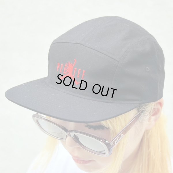 画像10: PeeTee. (ピーティー) “AIR MARLEY 5 PANEL CAP” (10)
