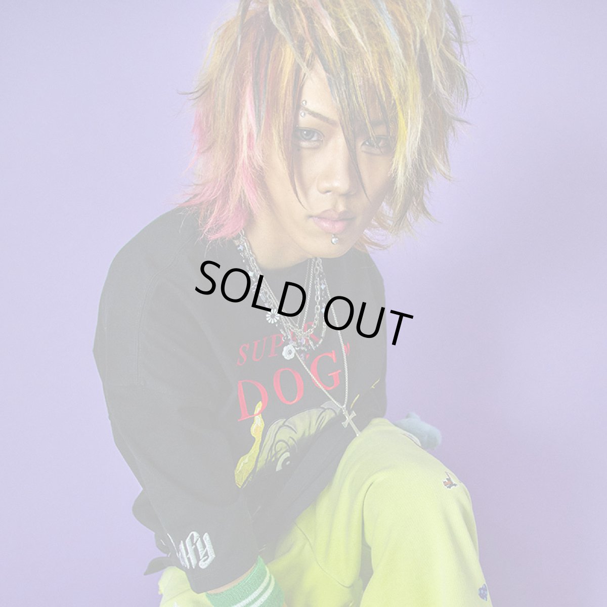 画像10: 【半額】GALFY(ガルフィー) “SUPER DOG Tee” (10)