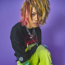 画像10: GALFY(ガルフィー) “SUPER DOG Tee” (10)