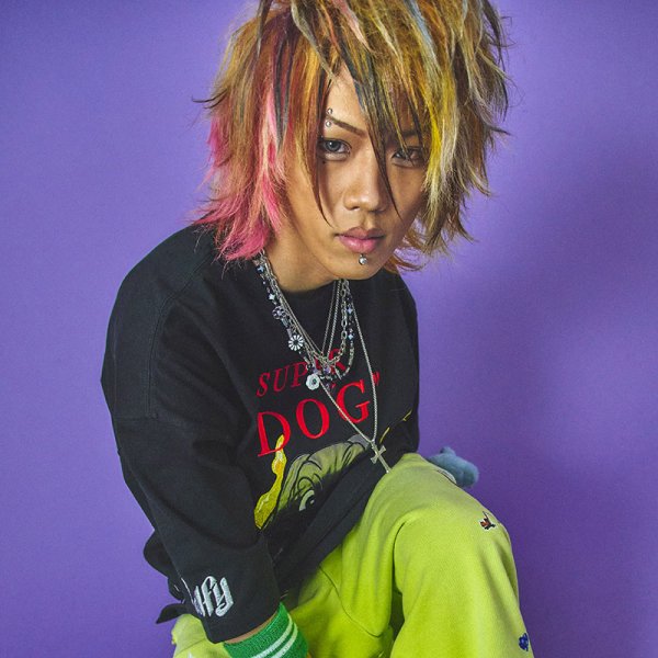 画像10: GALFY(ガルフィー) “SUPER DOG Tee” (10)