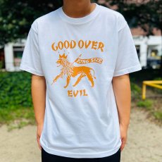 画像4: 【SUMMER STYLE】cocolo (4)