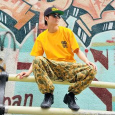 画像1: 【SUMMER STYLE】taiga (1)