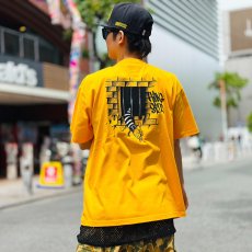 画像5: 【SUMMER STYLE】taiga (5)