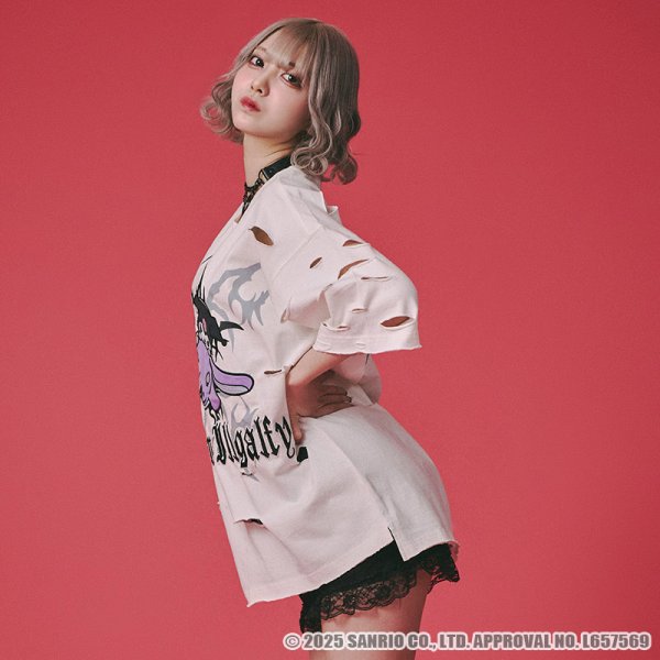 画像14: 【ラスト大型犬(XL)のみ】GALFY(ガルフィー)xクロミ “イルガルフィーボロボロ半袖TEE” (14)
