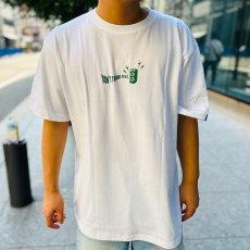 画像4: 【SUMMER STYLE】cocolo (4)