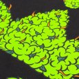 画像5: KINGSIZE（キングサイズ）“HiGE KUSH TEE” (5)