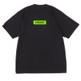 画像2: KINGSIZE（キングサイズ）“HiGE KUSH TEE” (2)