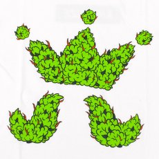 画像4: KINGSIZE（キングサイズ）“HiGE KUSH TEE” (4)